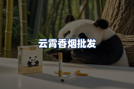 云霄香烟批发